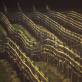 wein_104_28