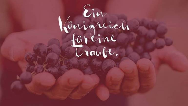 „Der Grundstein der besten Weine wird im Weingarten gelegt. …