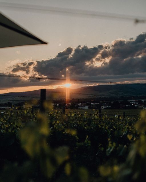 Mit-dieser-wunderschoenen-Aussicht-lassen-wir-den-Tag-auskl.jpg