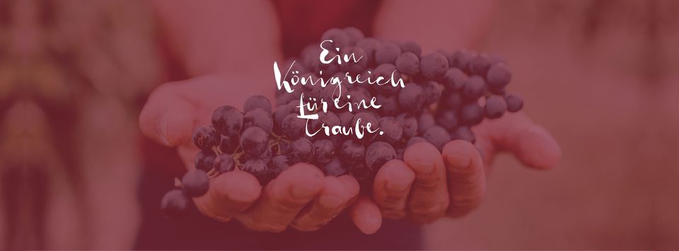 Kurz-vor-dem-Zieleinlauf-schauen-wir-noch-beim-Weingut-K.jpg