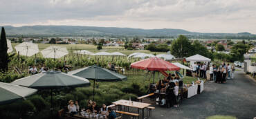 ROTWEINFESTIVAL 2023 – HIGHLIGHT DES SOMMERS